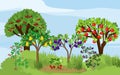 Landscape with different fruit trees and berry shrubs with ripe fruits on the branches. Royalty Free Stock Photo